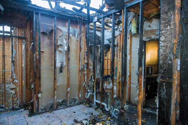 Professional Odor Removal technician working in Conway, AR